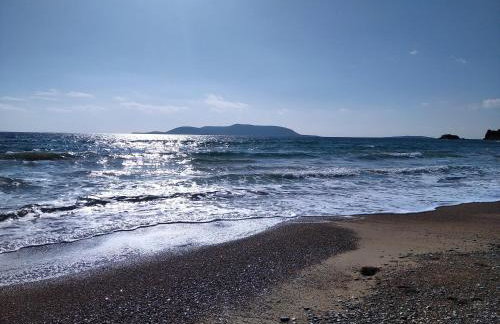 Το Σπίτι της Ελιάς - Foto 37