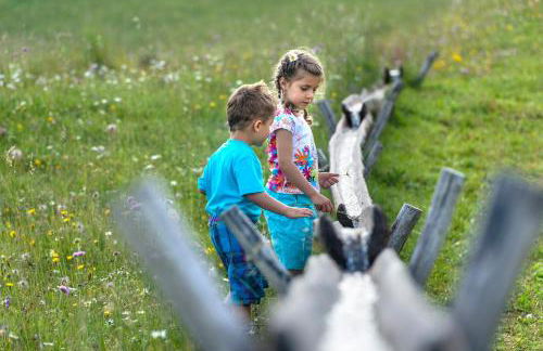 Apartment Sella - Foto 29