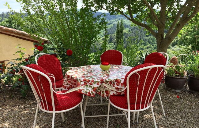 Ventena Vecchia Antico Frantoio - Photo 58