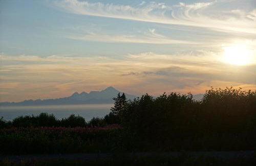 Touch of Alaska Volcano Vista - Foto 1