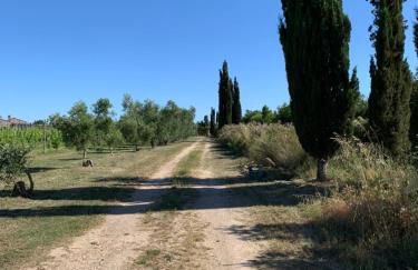 Resort Fonte Vulci - Foto 93