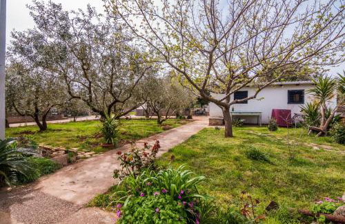 Apartments Cvita Ugljan - Foto 12