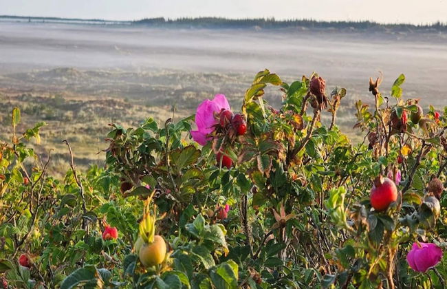 6 Person Holiday Home in Henne-by Traum - Foto 21