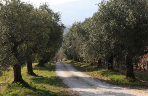 Agriturismo Segnavento - Zaccagnini - Foto 14