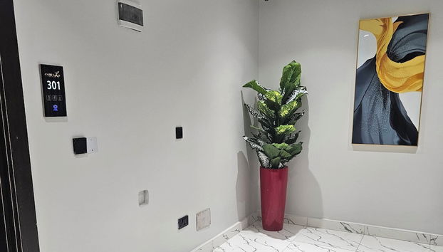 Anibex Luxe - Foto 5, Vestíbulo