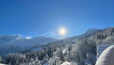 Vue splendide Mont Blanc - Foto 2