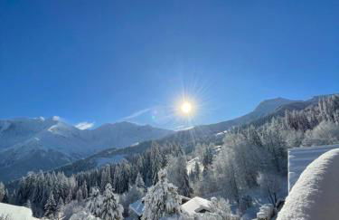 Vue splendide Mont Blanc - Foto 2