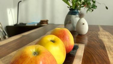 Tiny House in Berlin Rummelsburg - Foto 4