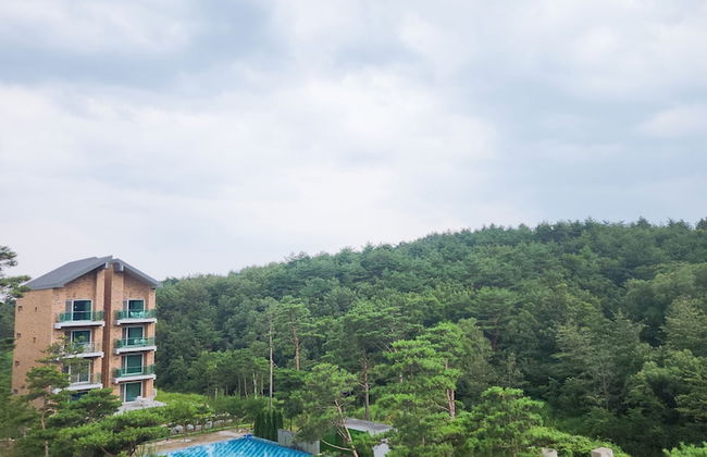 Sokcho Daemyung Heidi Pension - Photo 16