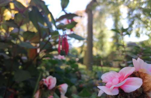 Apartment Serenade am Zwinger - Foto 44