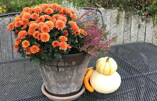 Haus Westfeld - Foto 73