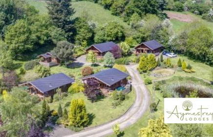 Countryside Log Cabin With Hot Tub - Beech - Foto 8