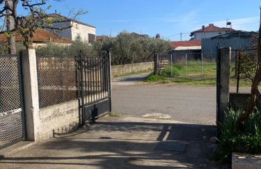 Karitsa's Holiday Home - Foto 21