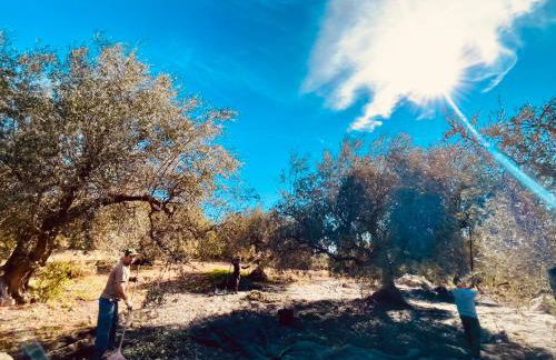 La Cuadra de Finca Don Carmelo - Foto 50