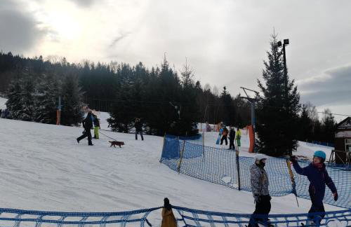 Apartament ZłotogórSKI Lądek-Zdrój - Foto 33