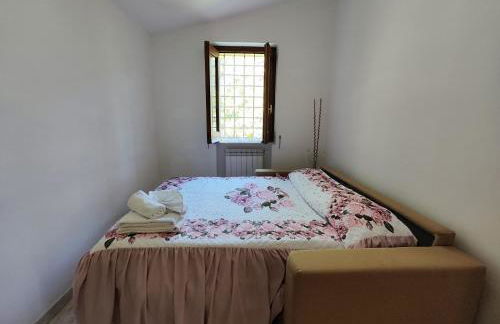 Il Vigneto - Foto 15