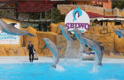 Arroyohome - Photo 78