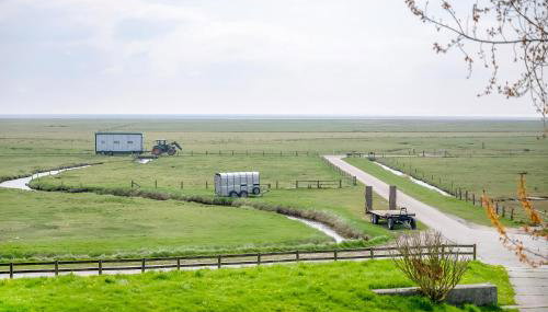 Wohnung Hallighof - Foto 3