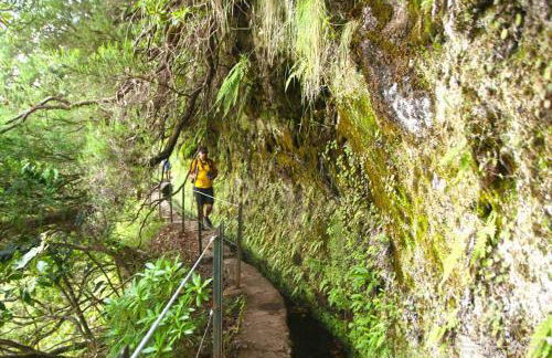 Pereira Place - Foto 31