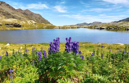 APPARTAMENTO TOMA MIHAELA - Photo 17