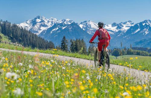 FeWo-Dorfromantik - Kostenlose Sommerbergbahnen und Tiefgarage, kurze Wege, ruhige Lage - Foto 18