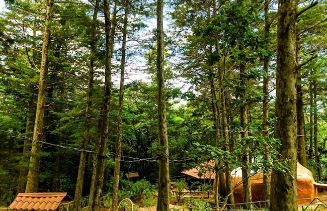 Cabañas Lunas del Poas - Foto 30