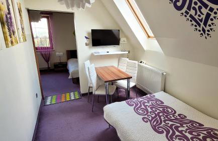 Willa Rąbanisko z sauną fińską - Foto 4