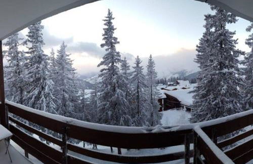 La Rosière Montvalezan,pieds des pistes,résidence le Vanoise - Foto 3