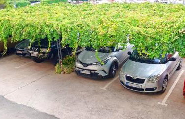 Villa Ana Apartments - Photo 45