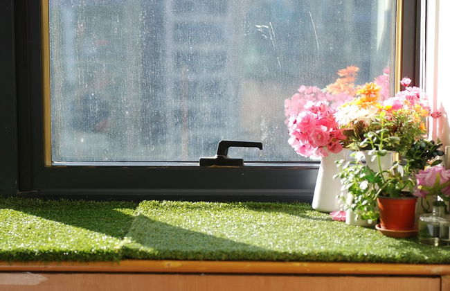 KPOP Coex Gangnam Stay - Foto 76