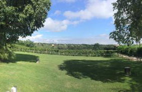 Agriturismo Ca' Vecia - Foto 140