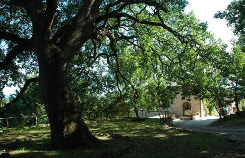 Fattoria di Mugnano - Foto 9