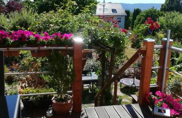 Appartment Fasanenhof Klinikum und Uni nah mit Netflix - Foto 32