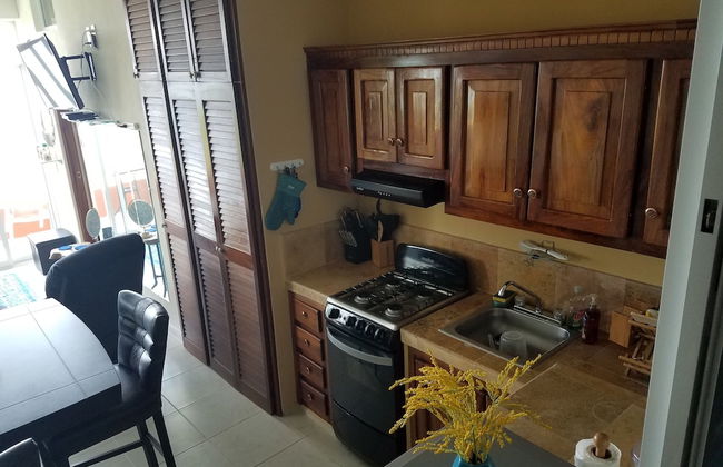 Vista Encantada 405 - Foto 8