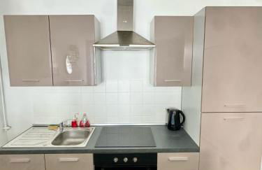 Cosy 1 - Montbéliard centre 80m2 - Foto 6