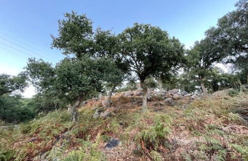 Villa Marver - Foto 51