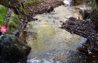 Quinta da Utopia - Foto 61