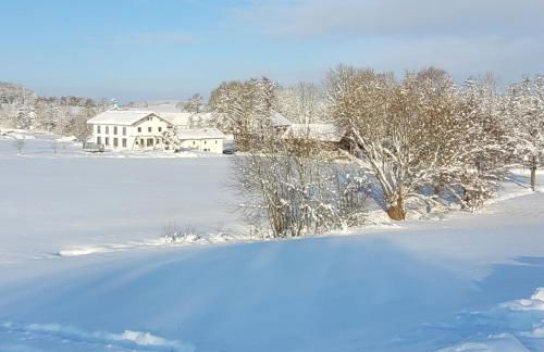 Ferienwohnung Bergmaier - Photo 60