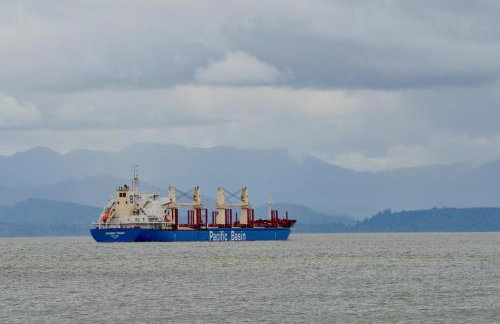 Astoria Painted Lady Historic Apt with River View! - Foto 24