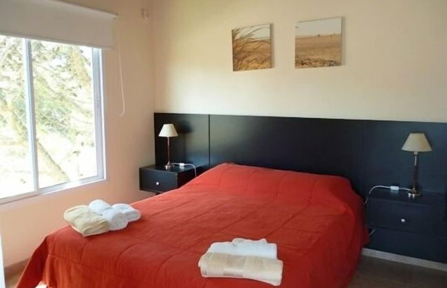 Terra Magna - Photo 2