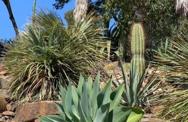 Appartement - Résidence Le Paradou - Foto 40