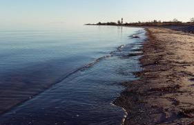 Wormshöft 16 - Foto 37