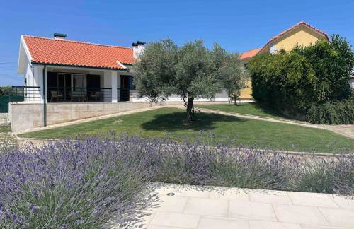 Quinta de Toubres - Foto 14