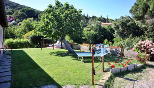 Casa del Mare - Oasi verde a soli 100m dal mare! - Foto 5, Garden, sunbed, Garden view, Shower