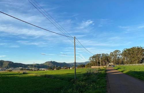 La Macadamia - Foto 18