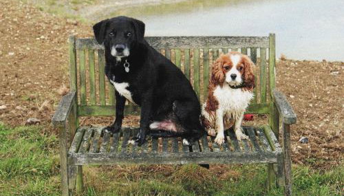 The Old Coach House - Foto 5