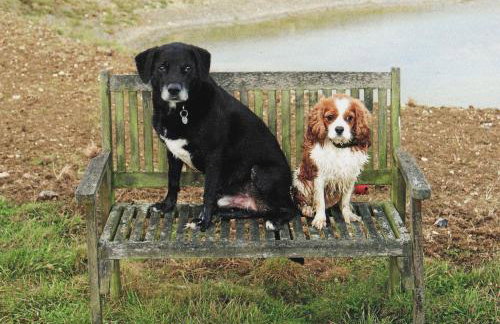 The Old Coach House - Photo 5