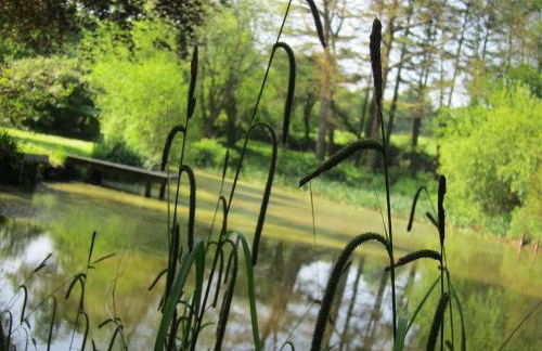 Hope Cottage - Foto 23