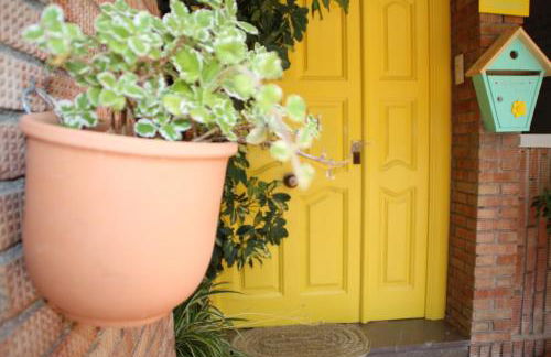 El jardín de la abuela - Foto 48