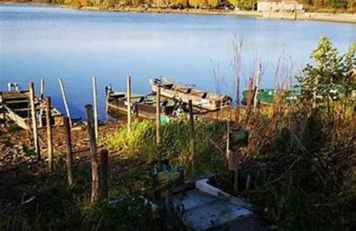 Gîte des étangs - Foto 11